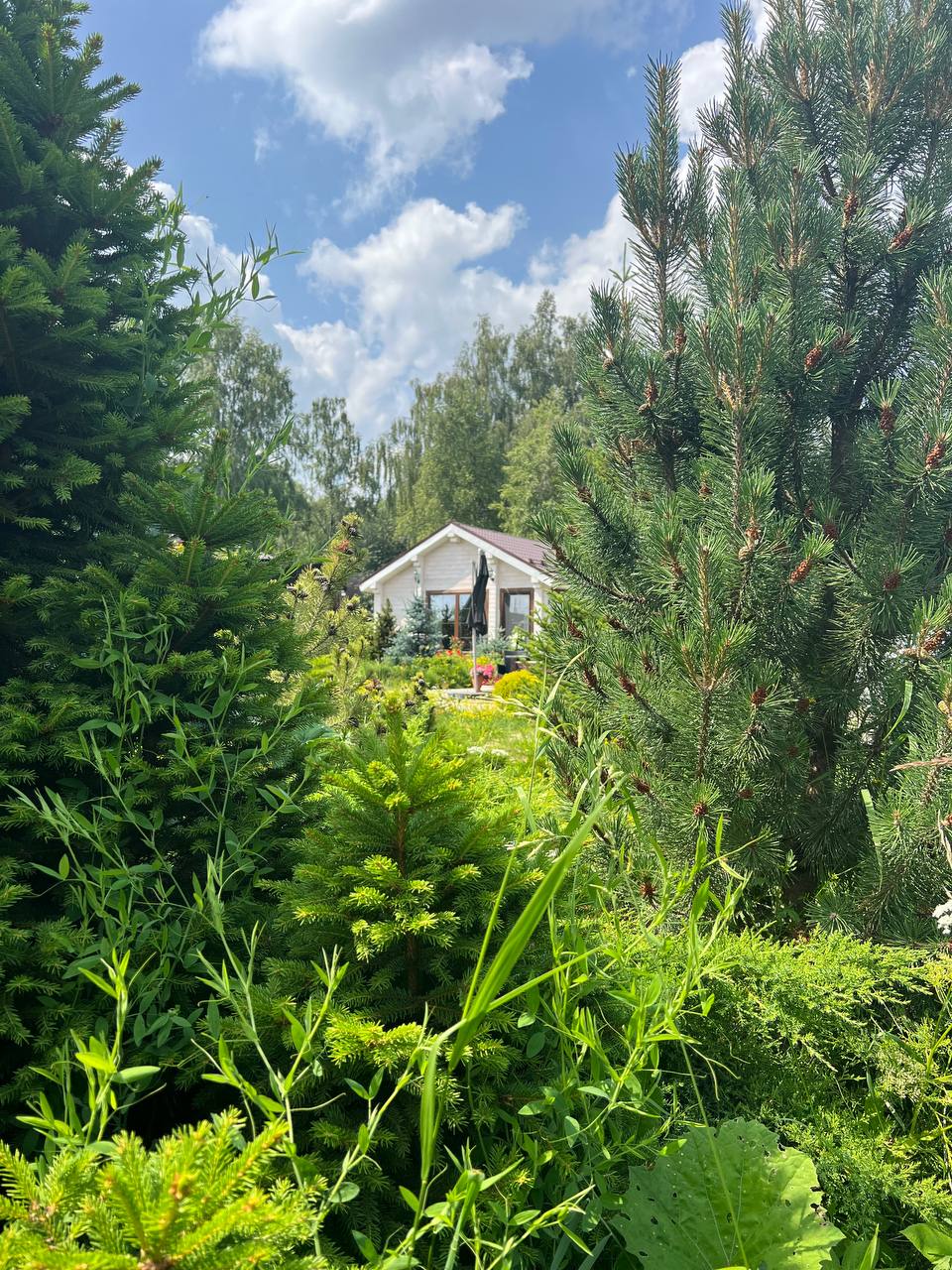 Фото Вечера в Подмосковье