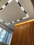 Ppl-14 (Fedoseenko Street, 57), ceiling systems