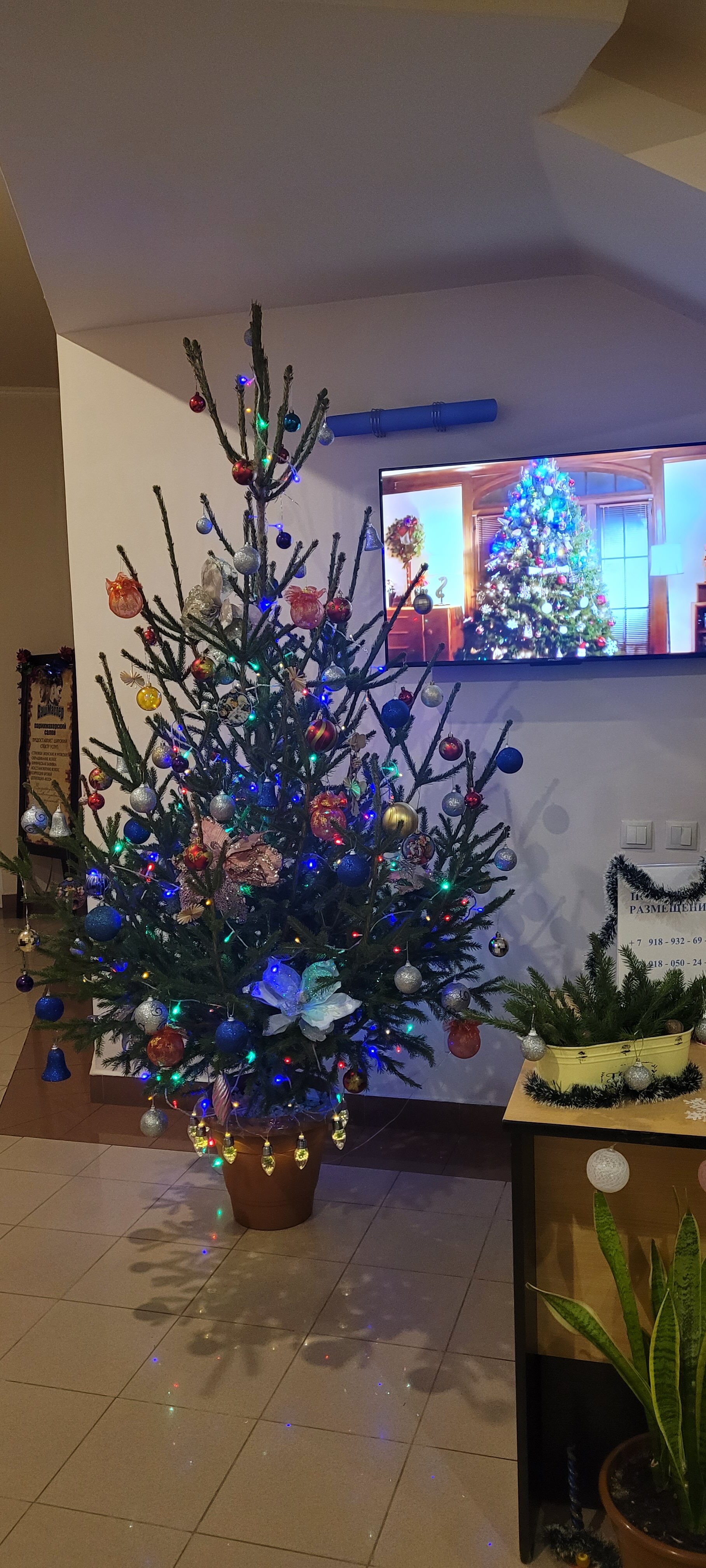 Фото Атлантида