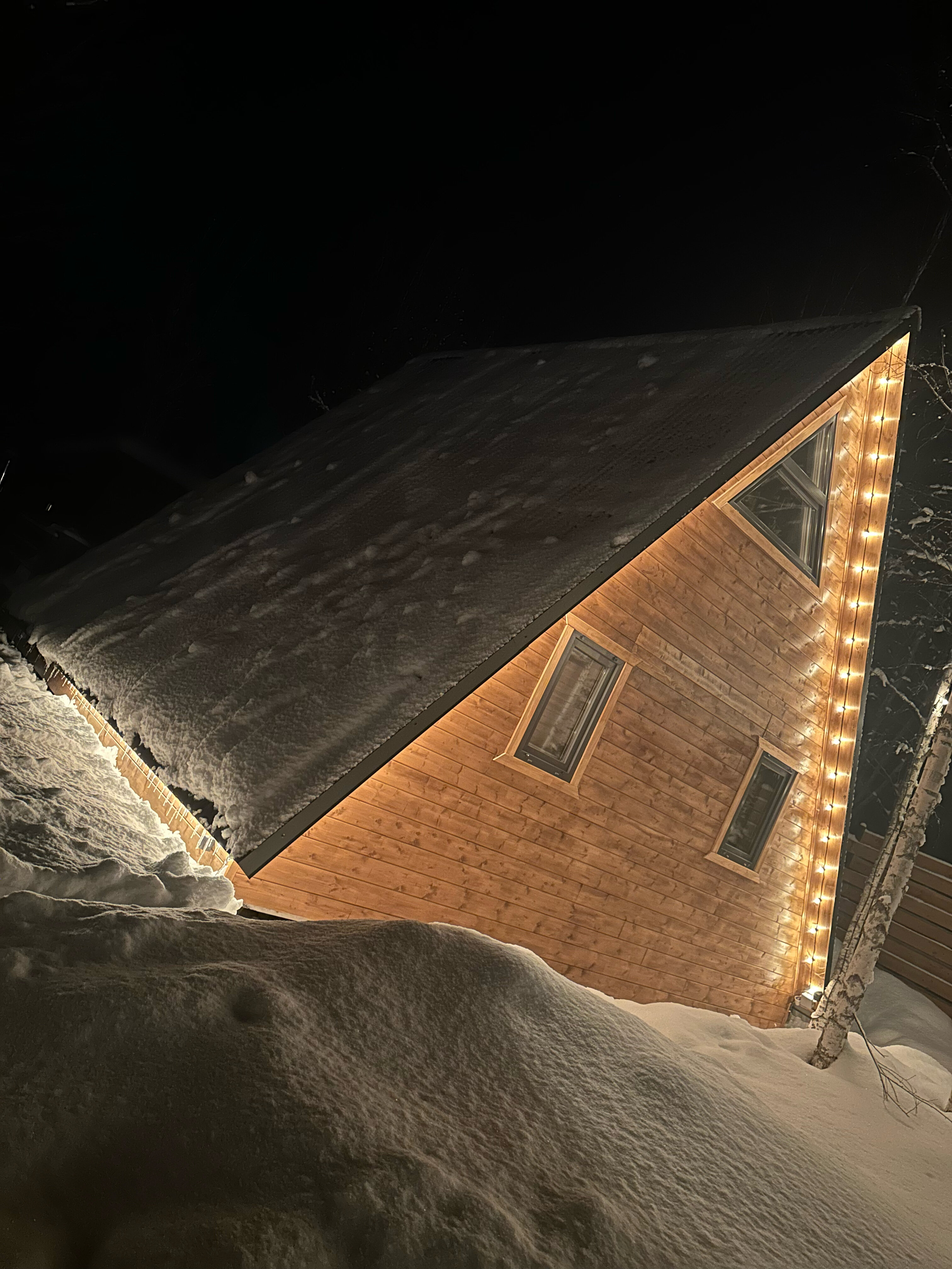 Фото My little forest