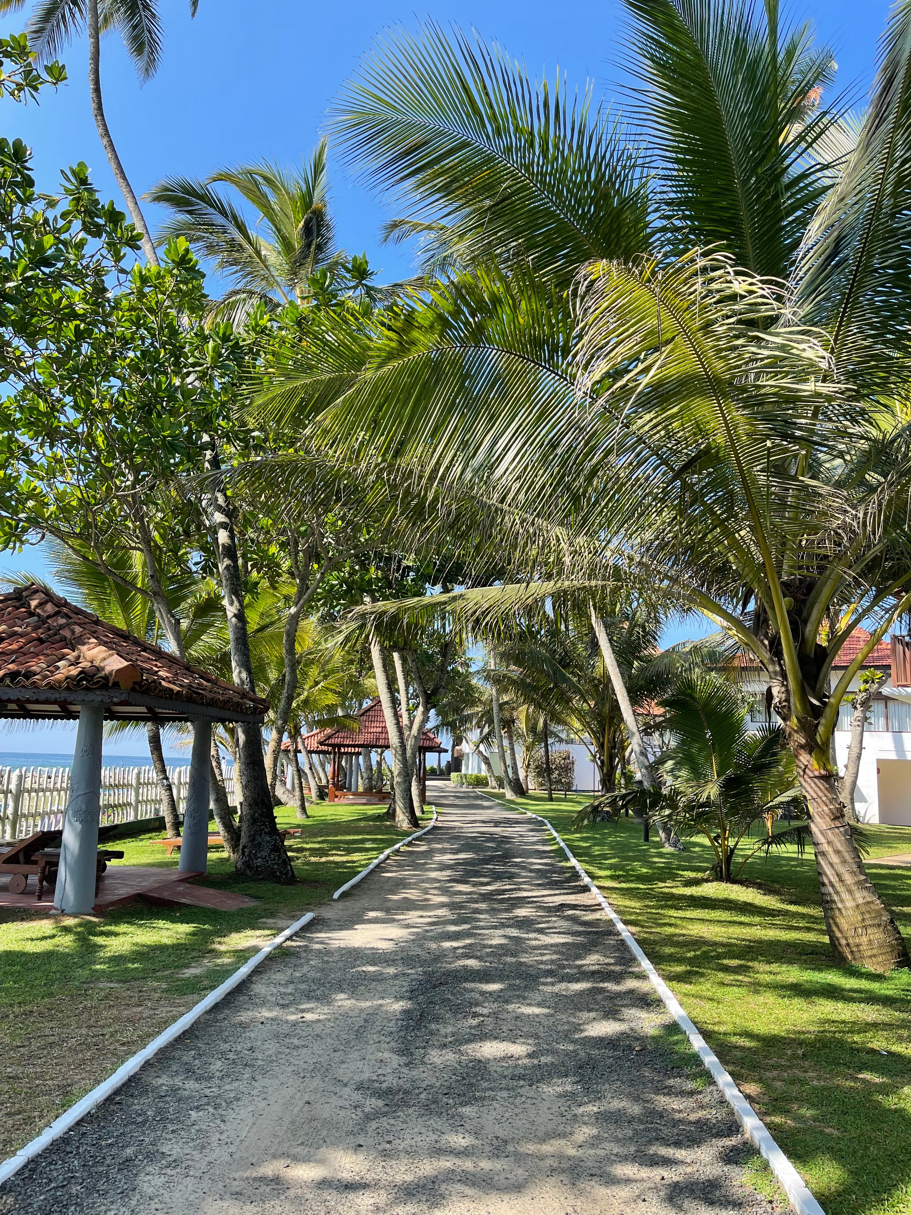 Фото Dickwella Resort and SPA