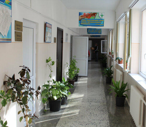 Психоневрологиялық диспансер сексологы