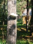 Отделение медицинской реабилитации (ulitsa Park Solyanka, 7), hospital de niños
