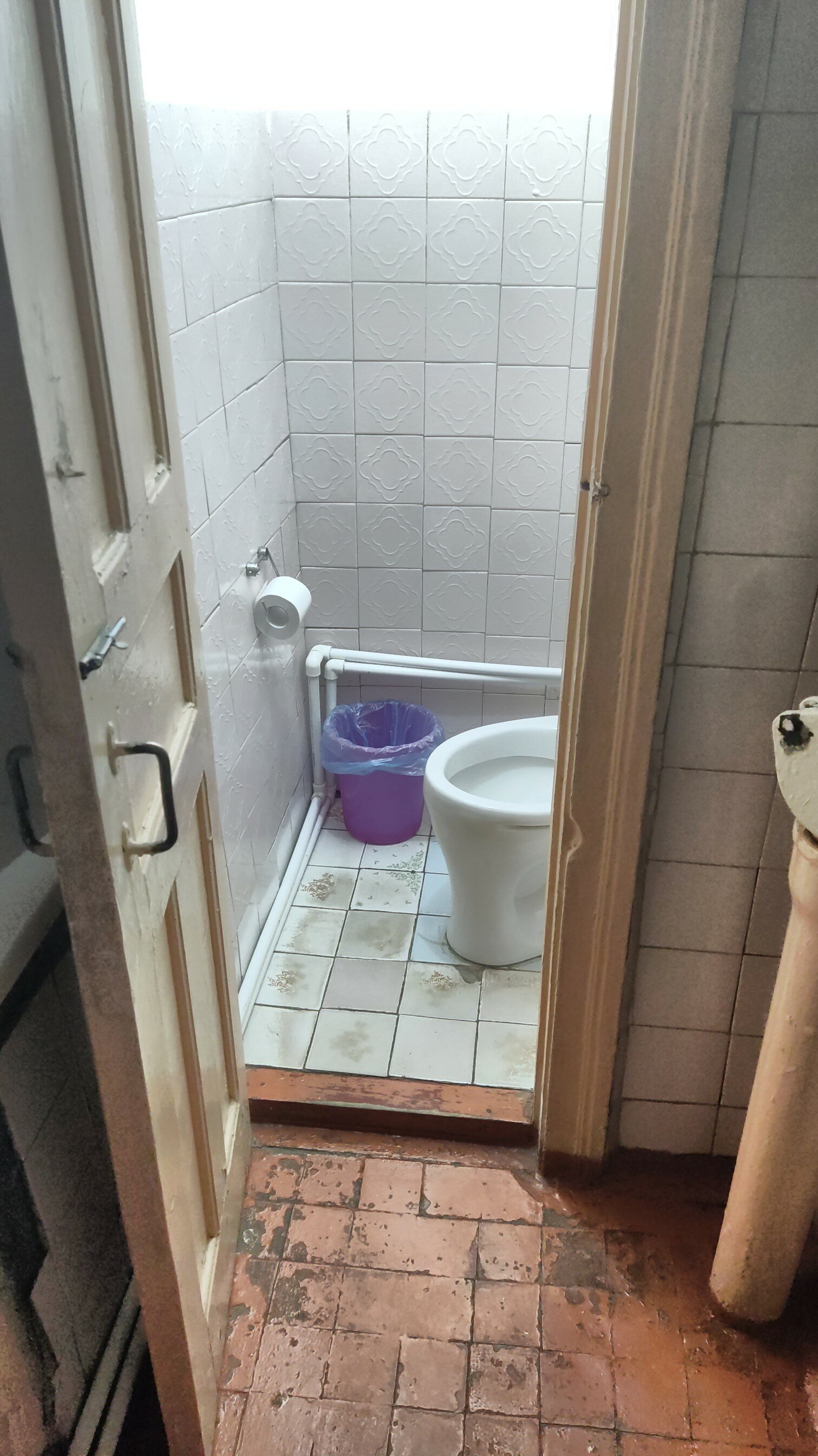 Фото Базилик