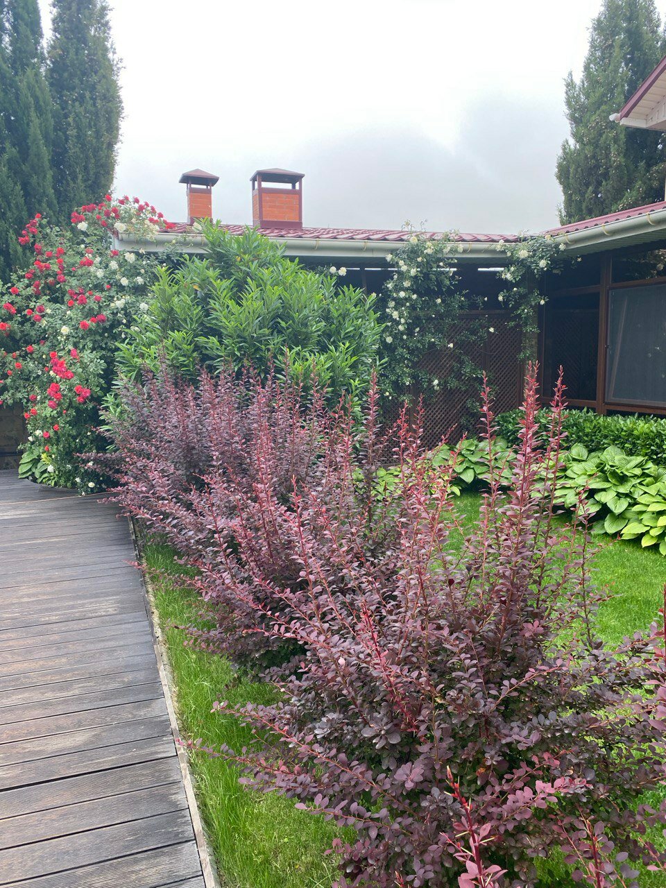 Фото Sineva Del Sol