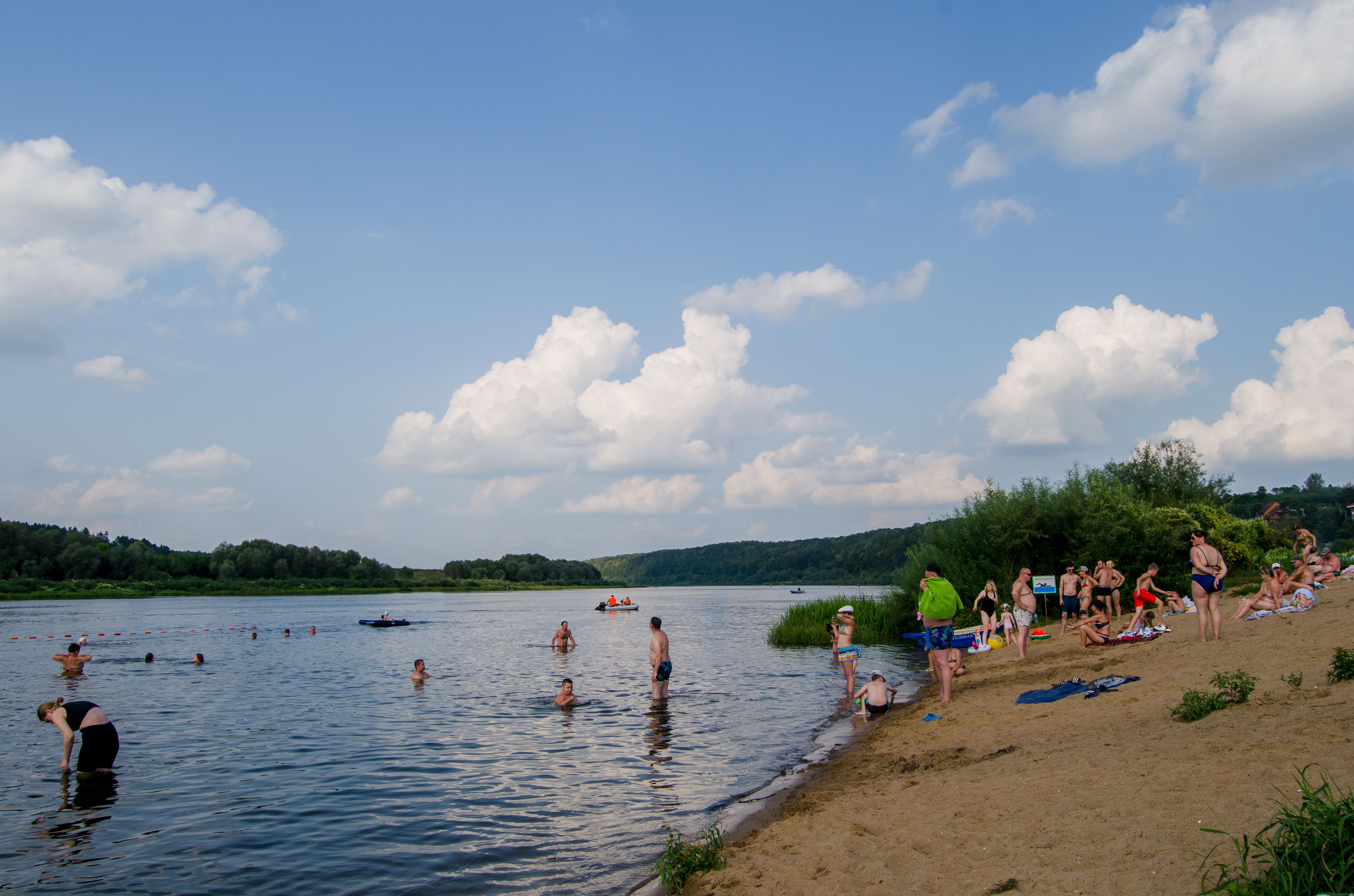 Фото Берёзовая роща
