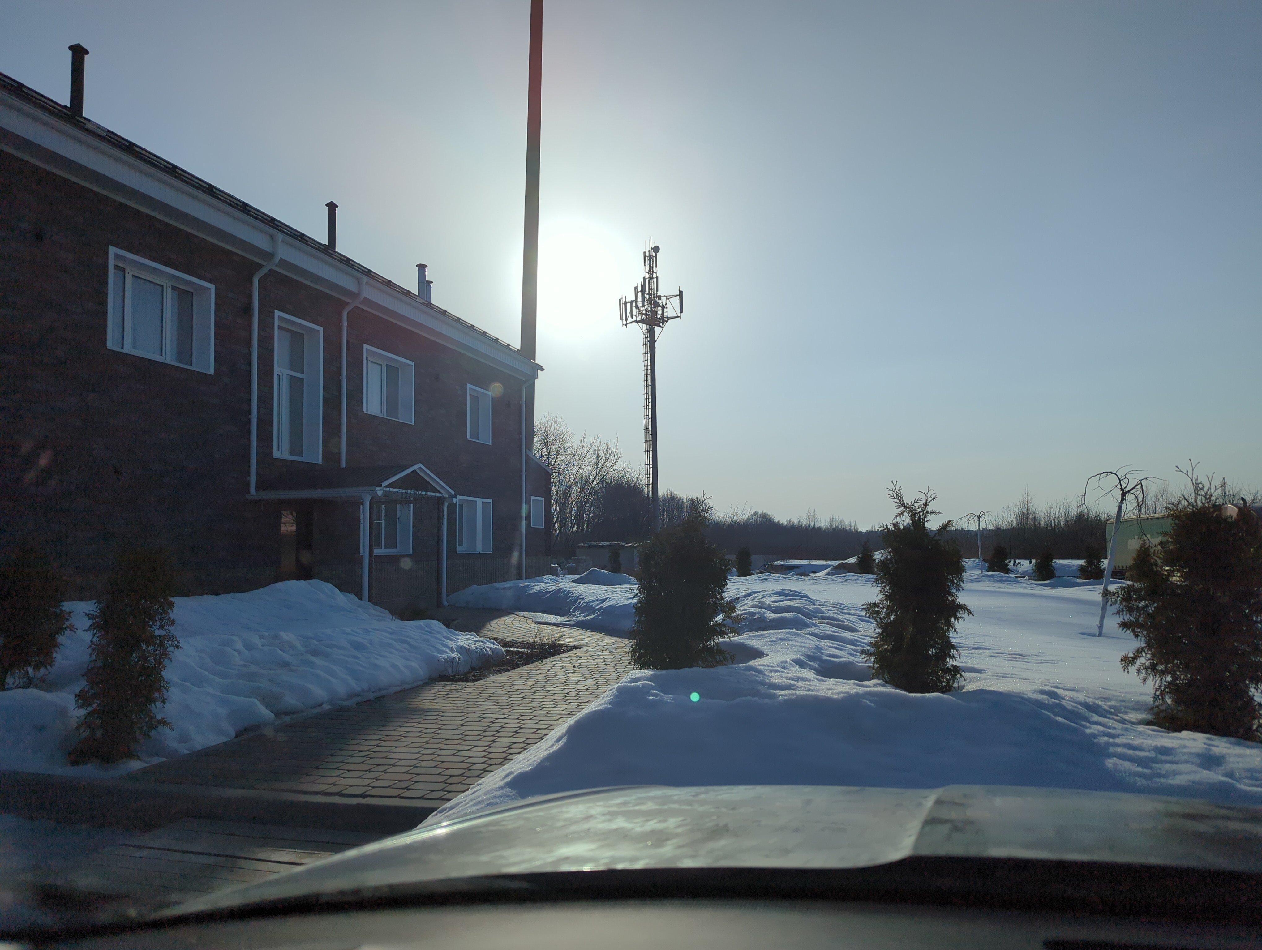 Фото Иволга