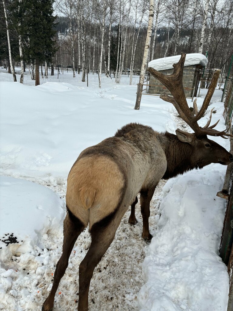 Cafe Кузнецкий Алатау, Kemerovo Oblast, photo