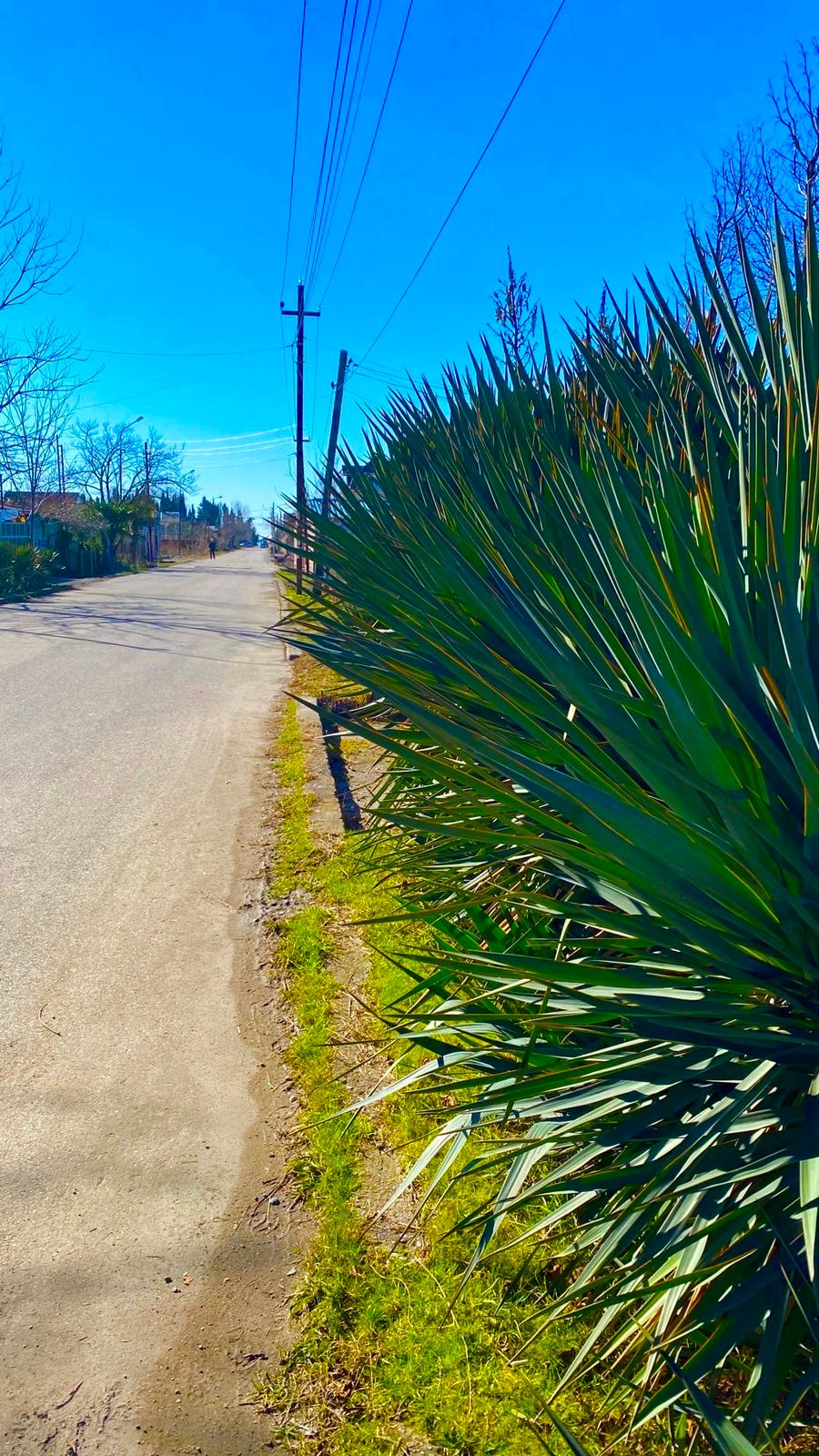 Фото Тихая гавань