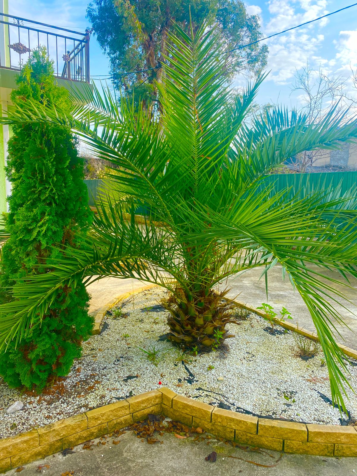 Фото Тихая гавань