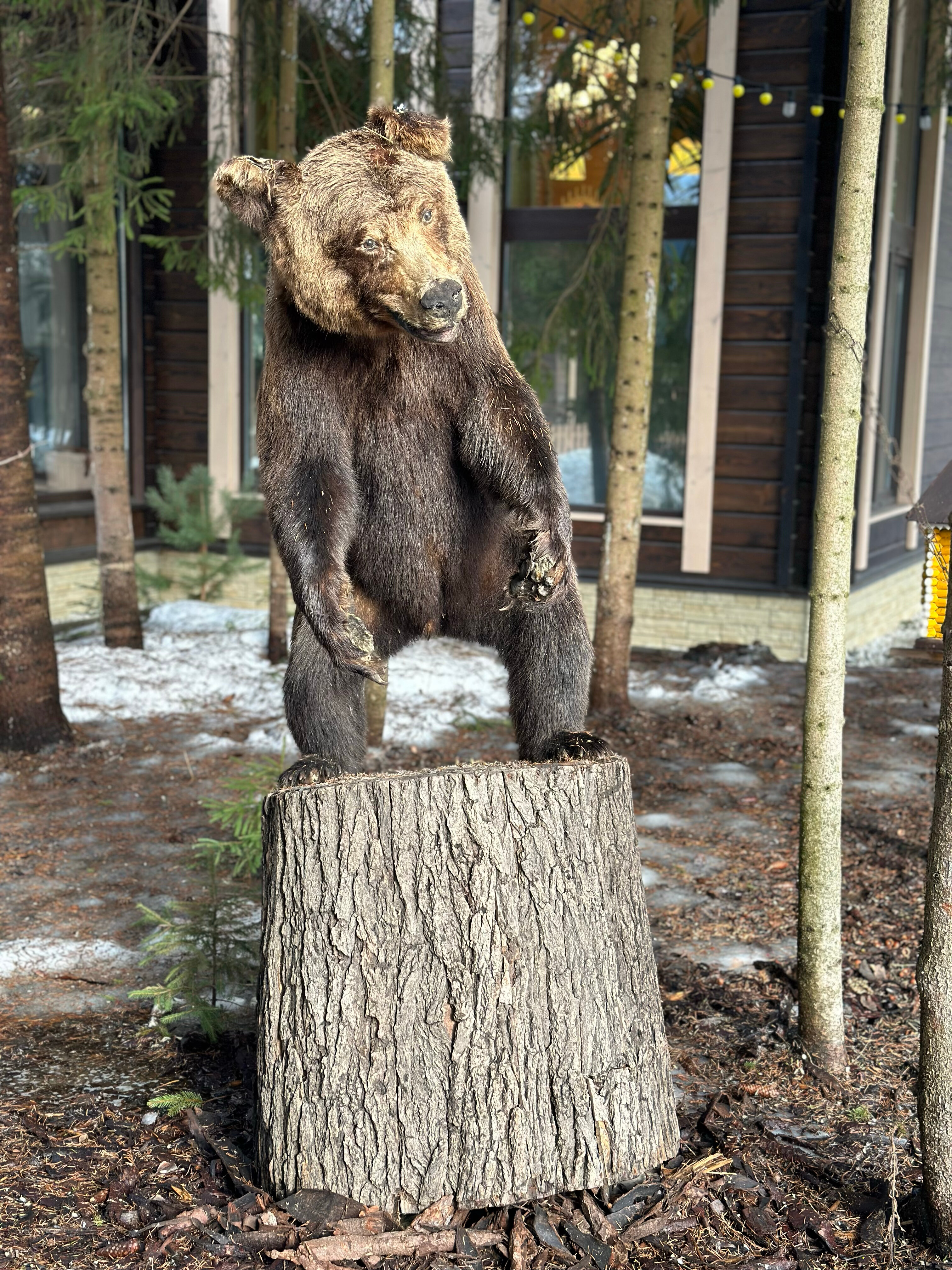 Фото Лопановичъ Park