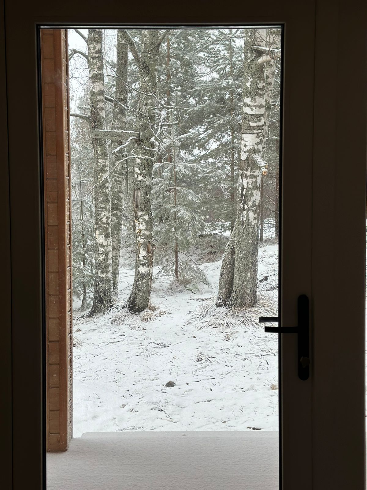 Фото Balance house