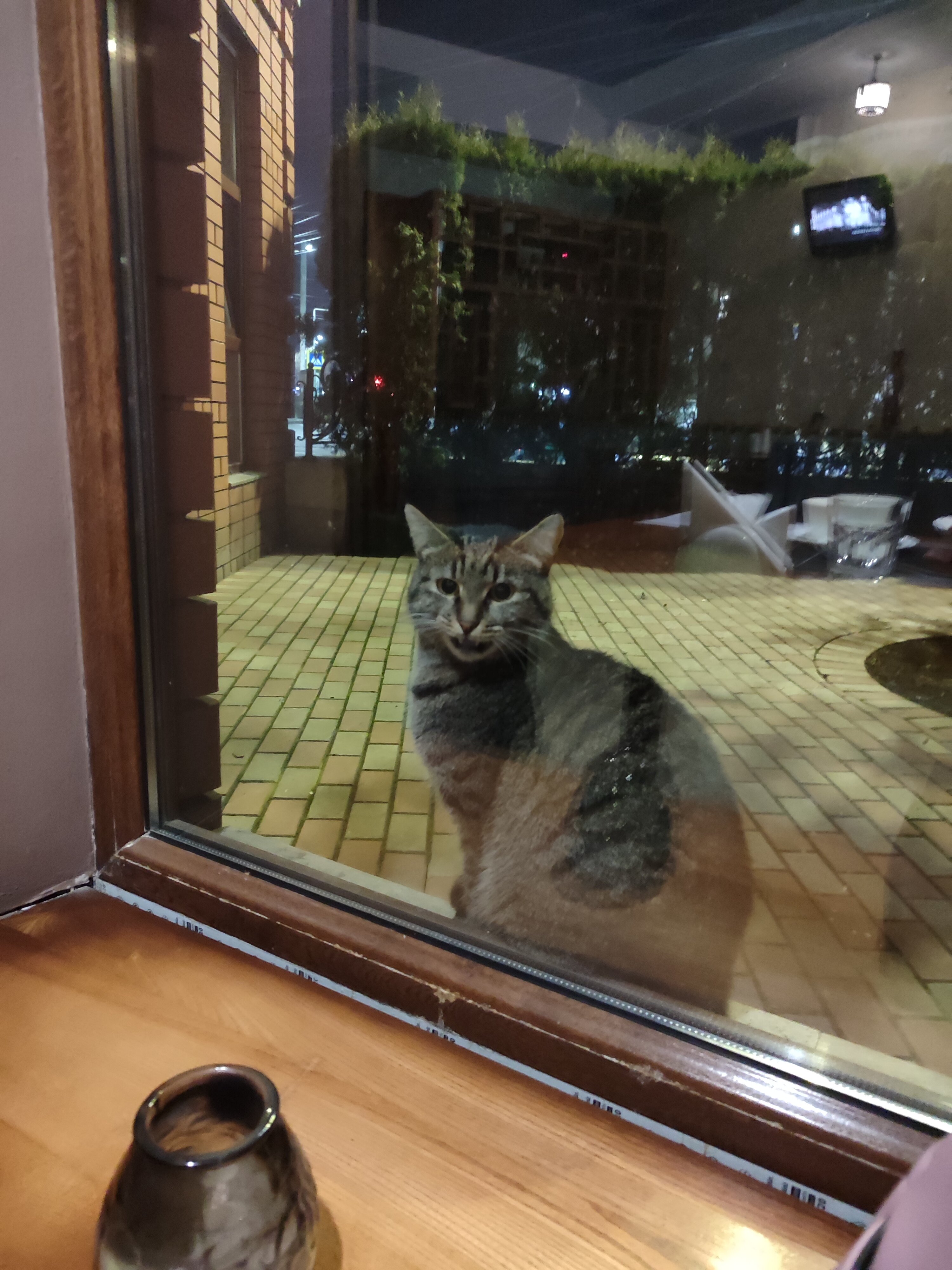 Фото Кадгарон