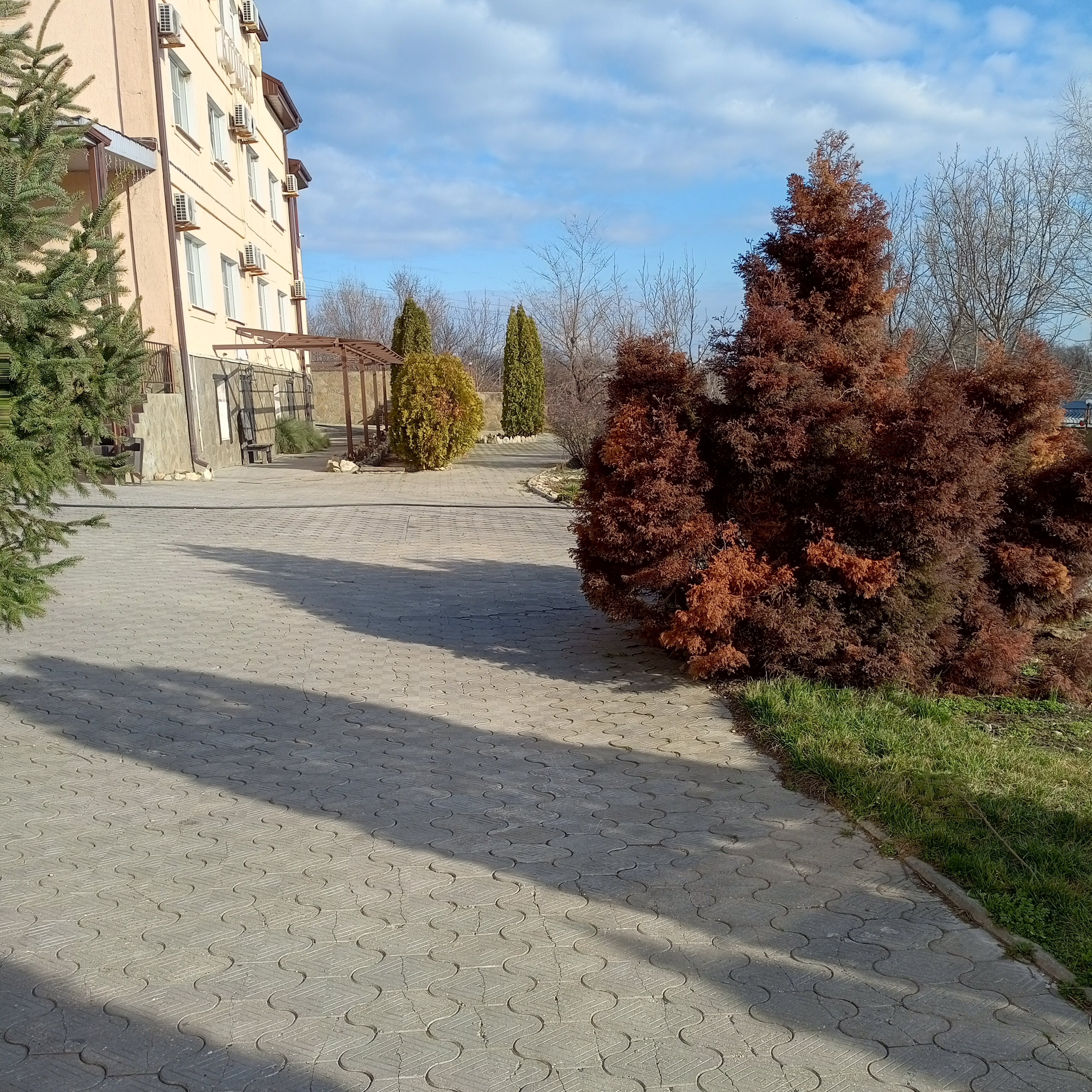 Фото Монест