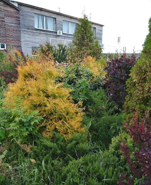 Фото 33 Пушкина