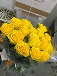 Roza Centr (Bolshaya Nizhegorodskaya Street, 12), flower shop