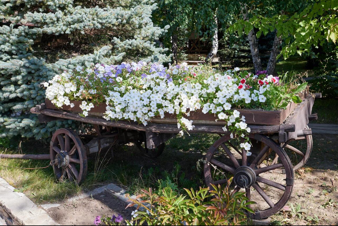 Фото Pano Castro