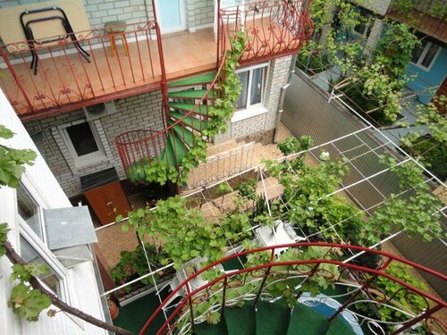Итальянский Дворик  фото 4