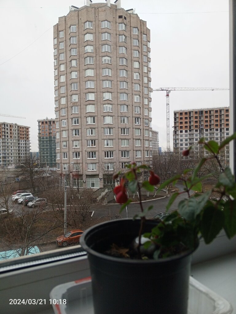 Окна Город окон, Санкт‑Петербург, фото