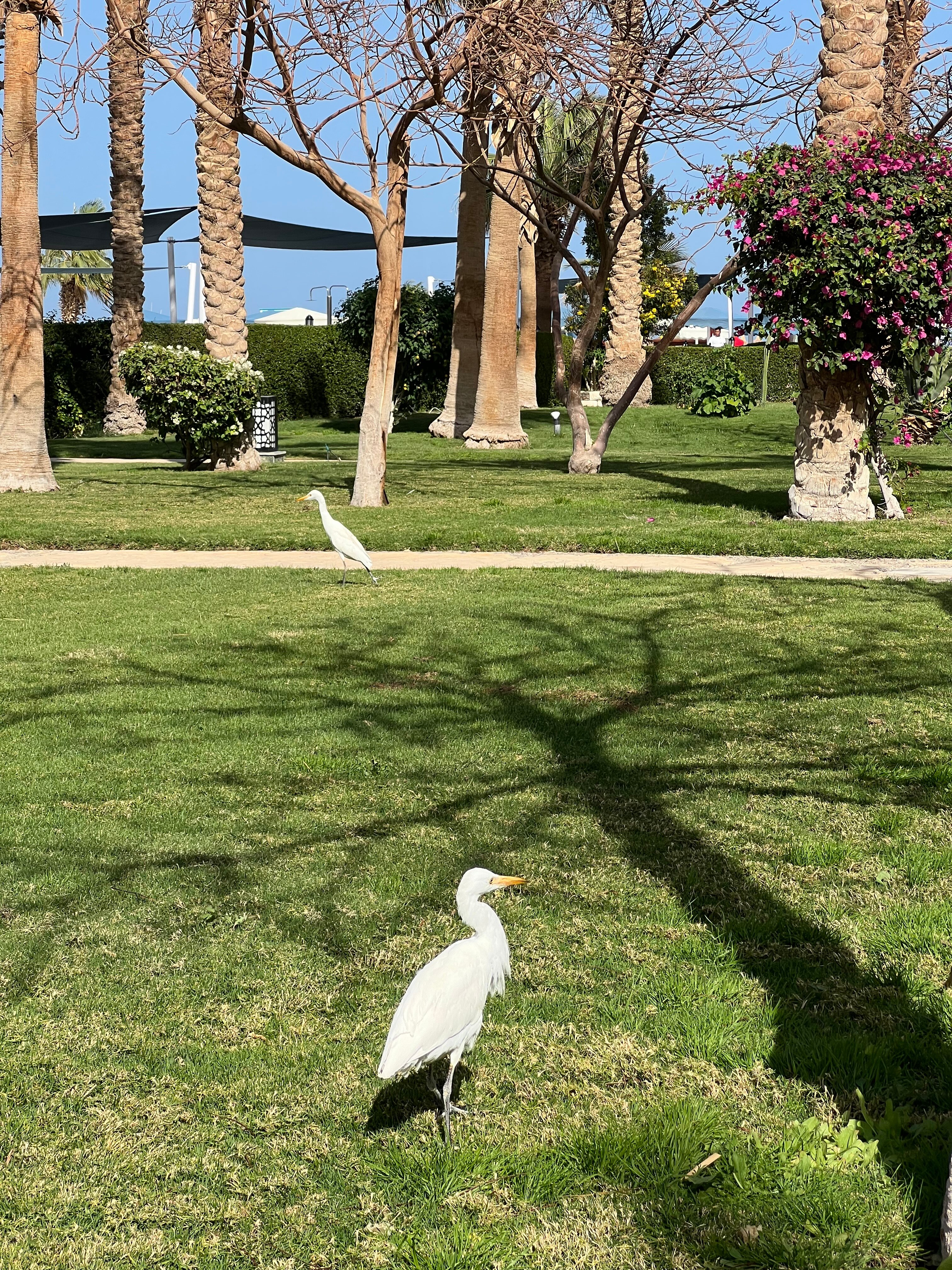 Фото Ali Baba Palace