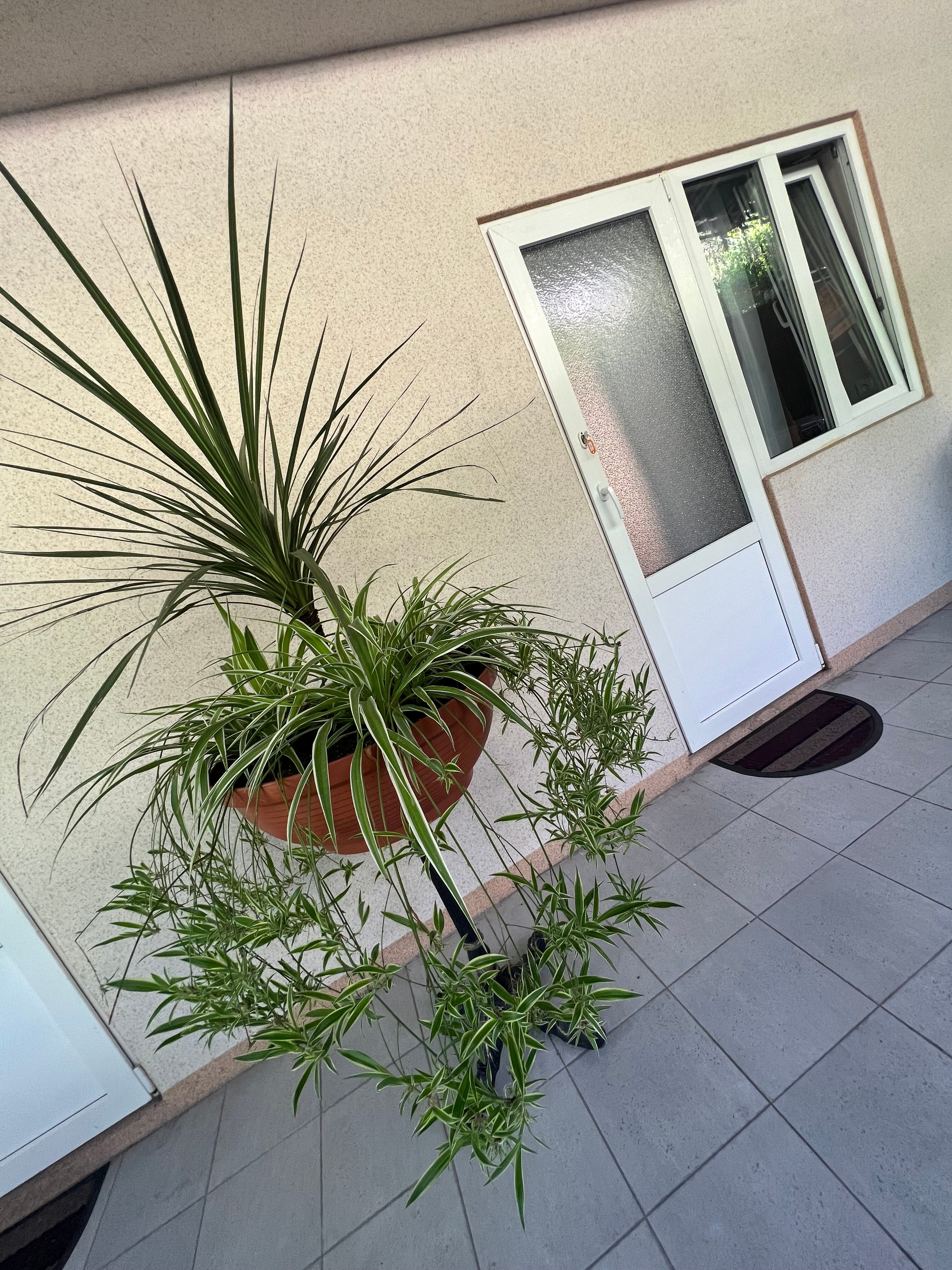 Фото ЛариЛанка