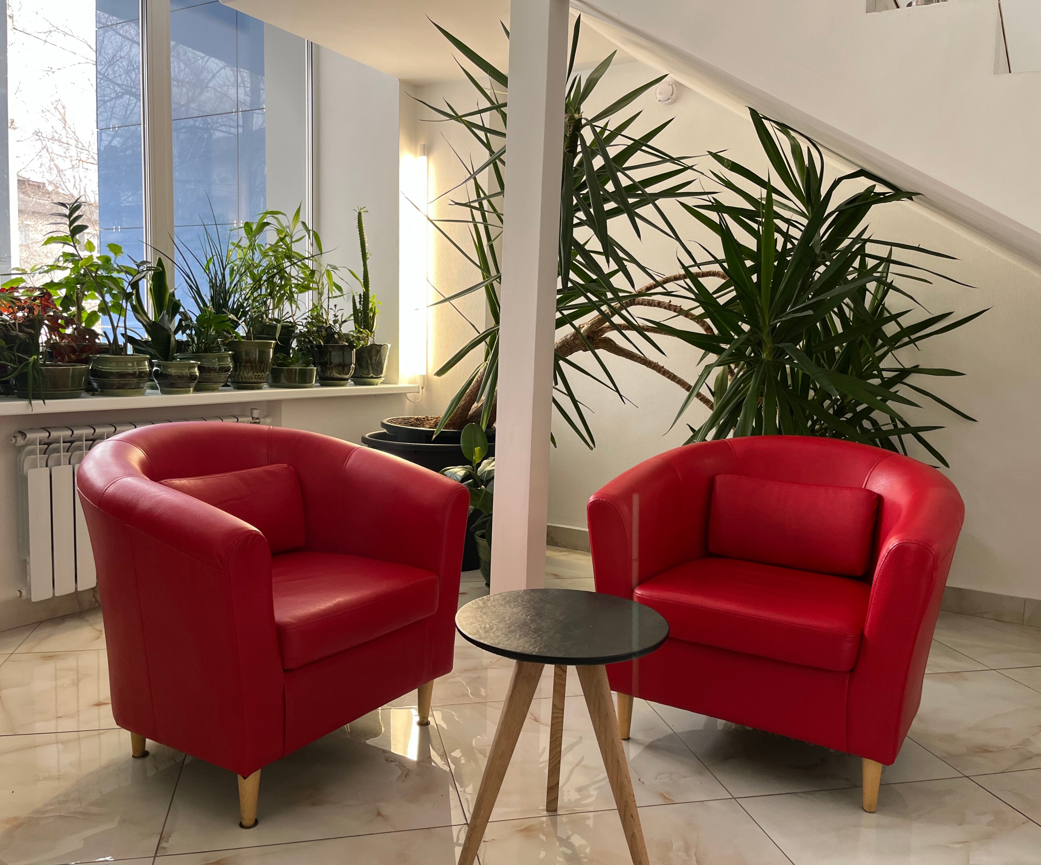 Фото Калинка