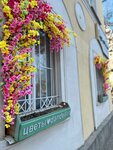 Dandelion (Suvorova Street, 165), flower shop