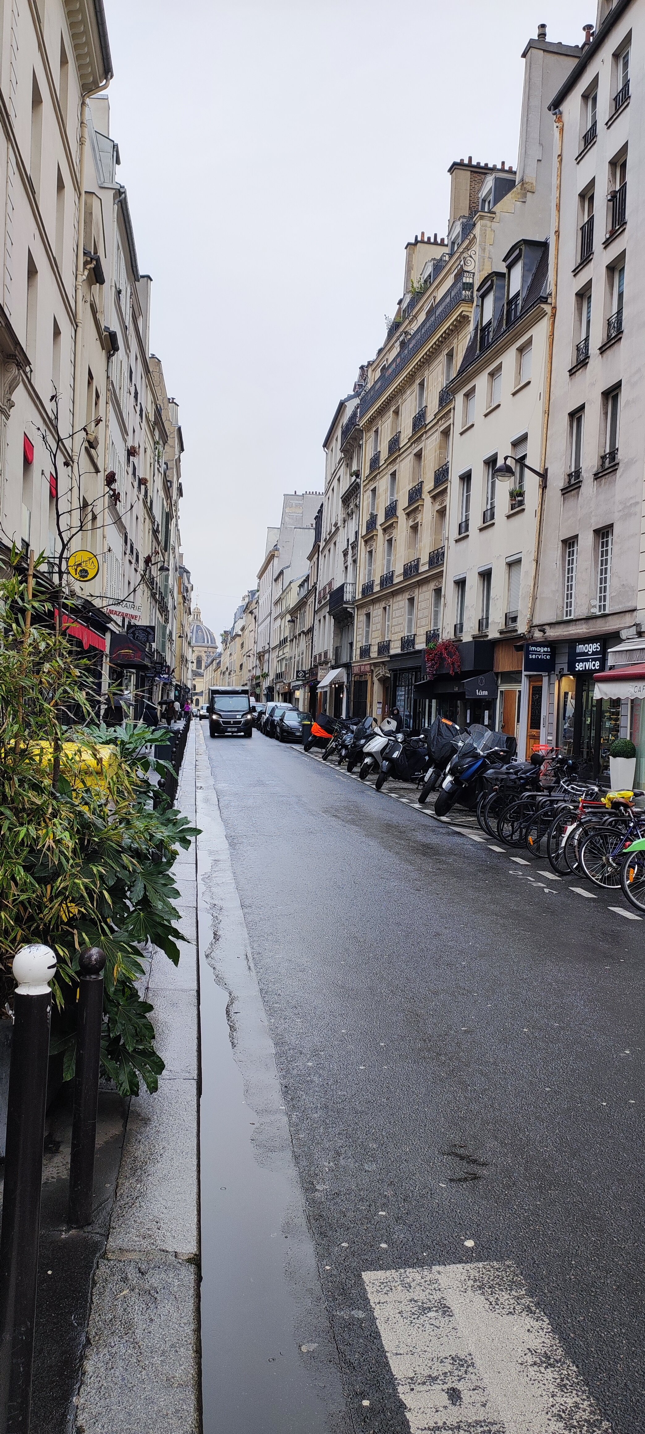 Фото Dauphine Saint Germain