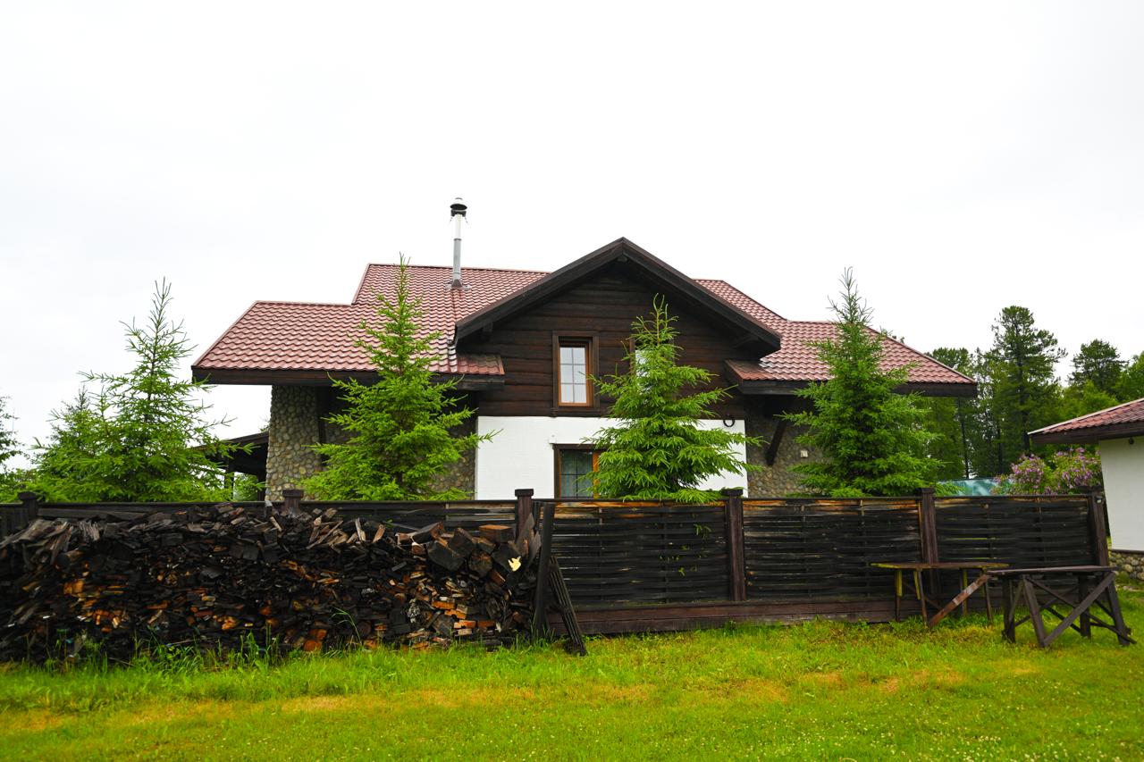 Фото Снежные Гуси