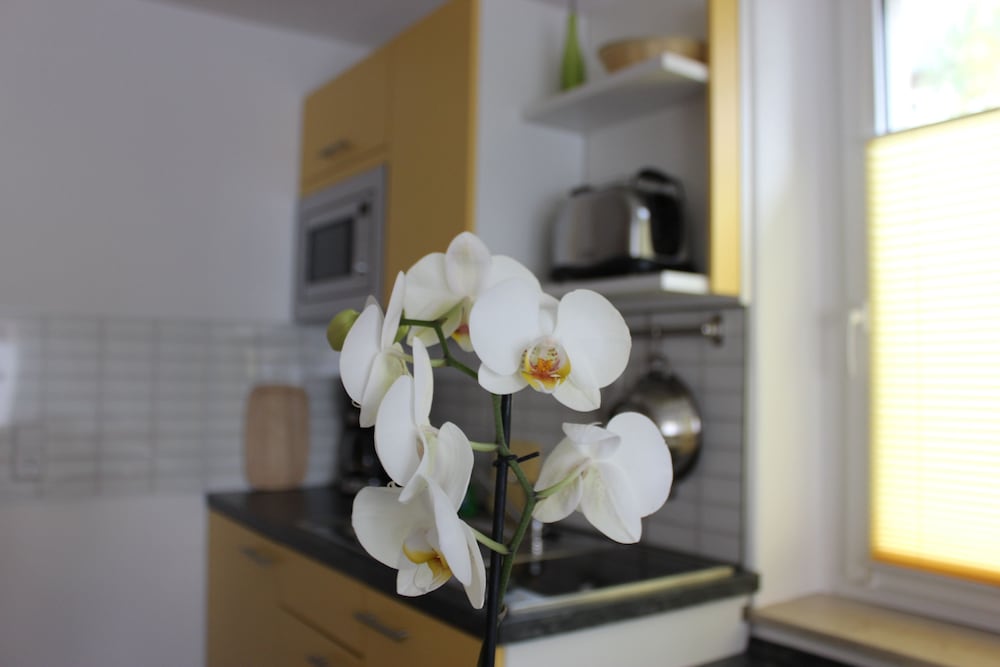 Фото Weber Apartments