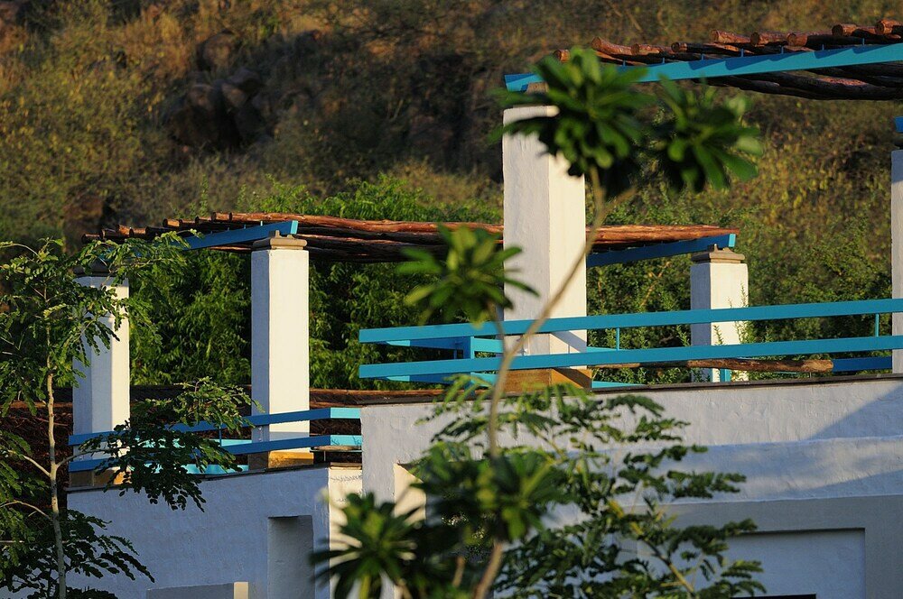 Фото Trees & Tigers