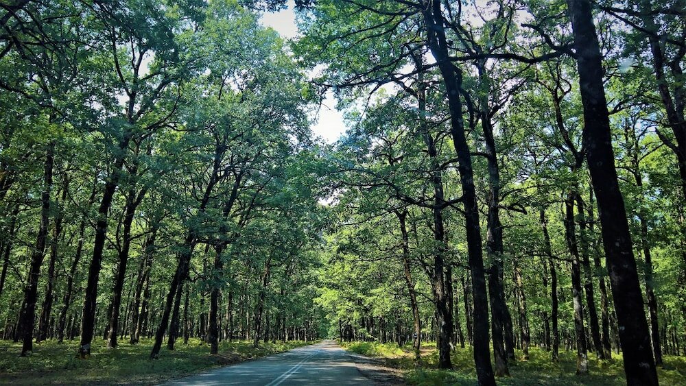 Фото Asfodelos Apartment Hotel