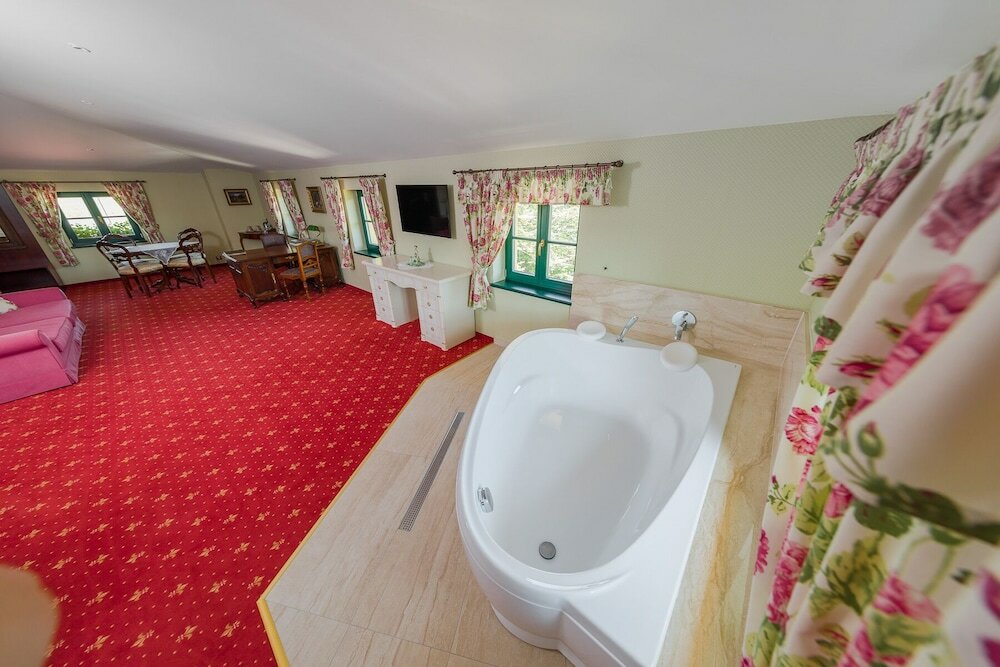 Фото Boutique Hotel Pri Mlyne