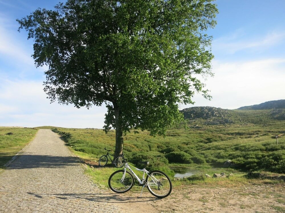 Фото Hotel Rural da Freita