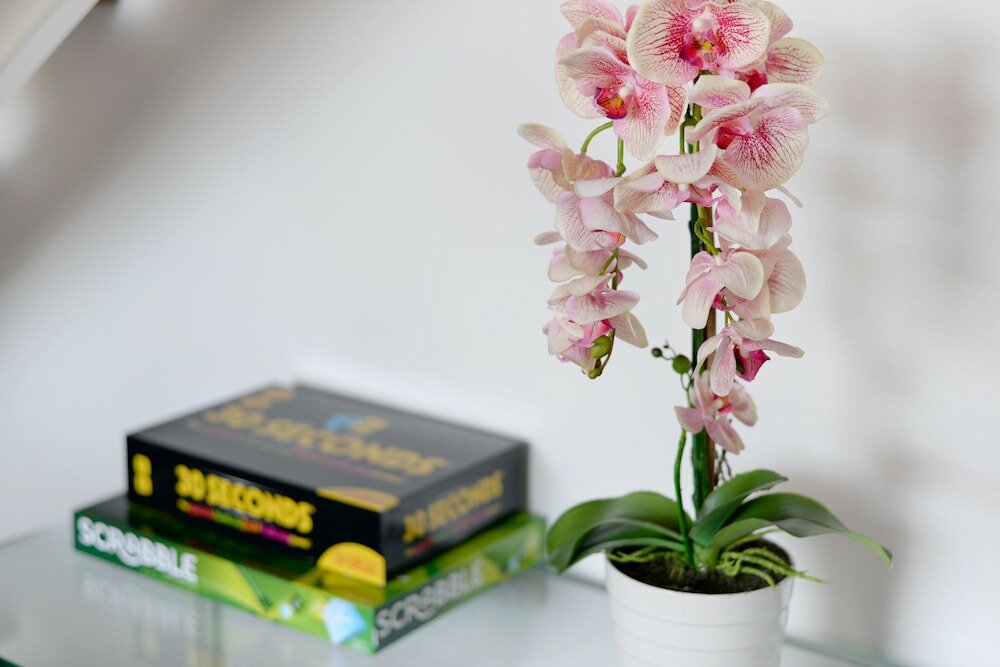 Фото Naomi by Stay Amazing