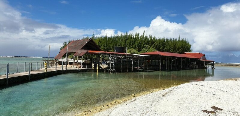 Гостиница Pension Motu Aito Paradise