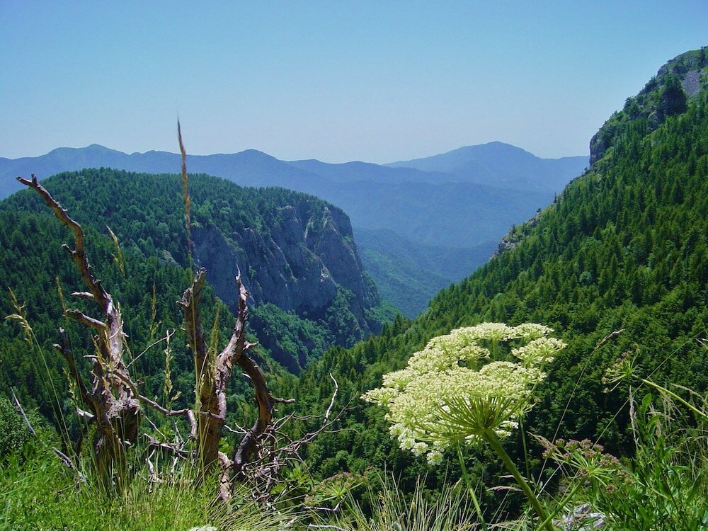 Фото Agriturismo Al Pagan