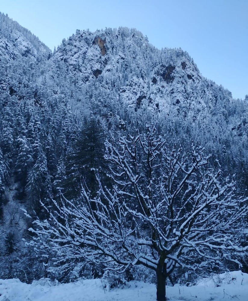 Фото Highland Gojh Kasol - Hostel