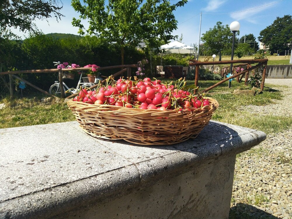 Фото Agriturismo Casale 1921
