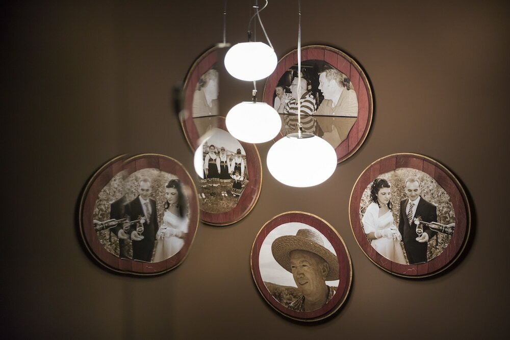 Фото Hotel Vinotel Gospoja