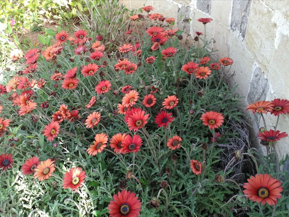 Фото Villetta Dote