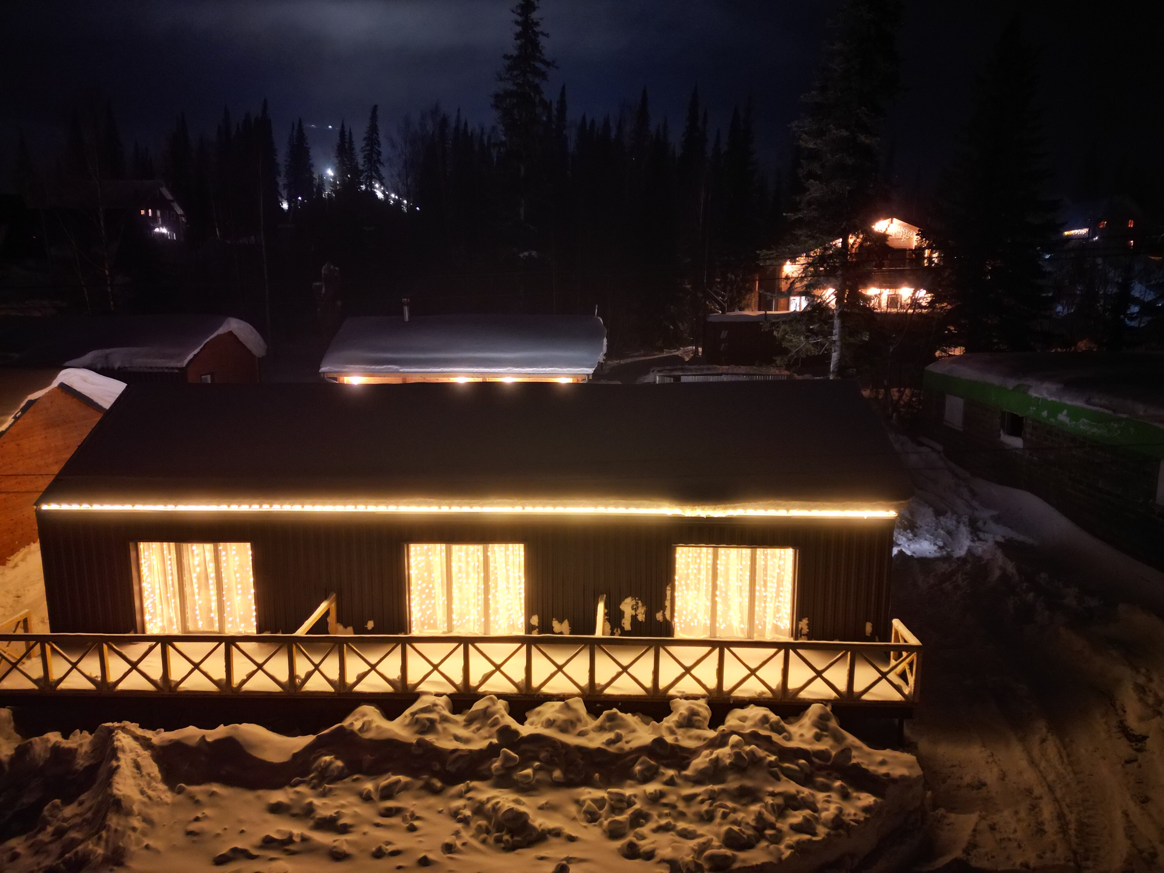 Фото Еловый лис