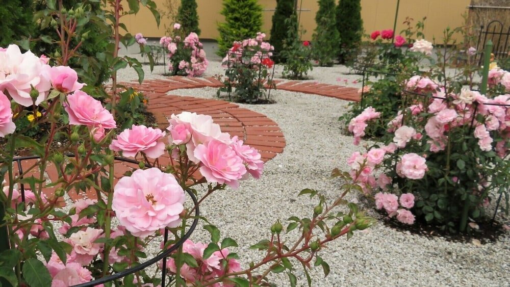 Фото Hananoyado Yumefuji