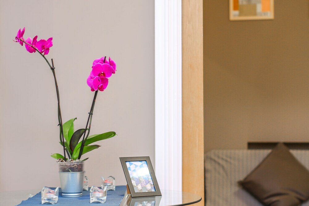 Фото City view flat at Liverpool st Brick Ln