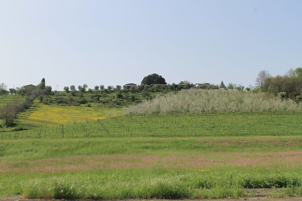 Фото Agriturismo La Praduscella