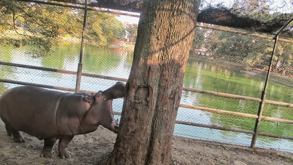 Фото Hotel Timila