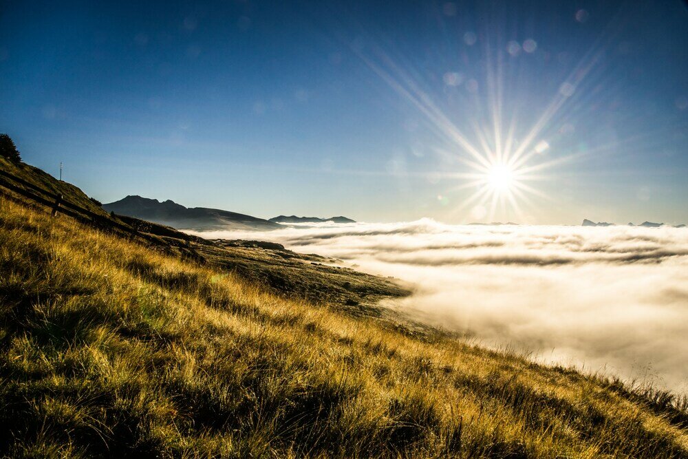 Фото Pension Residence Gasser