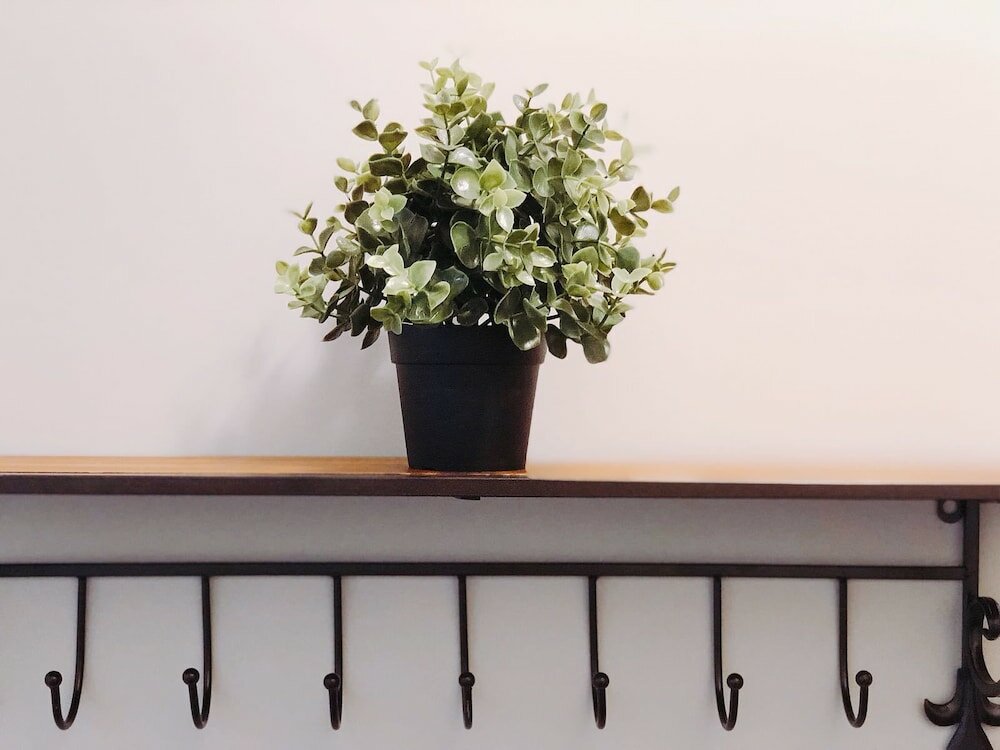 Фото Three Bedrooms Two Bathrooms Entire Unit