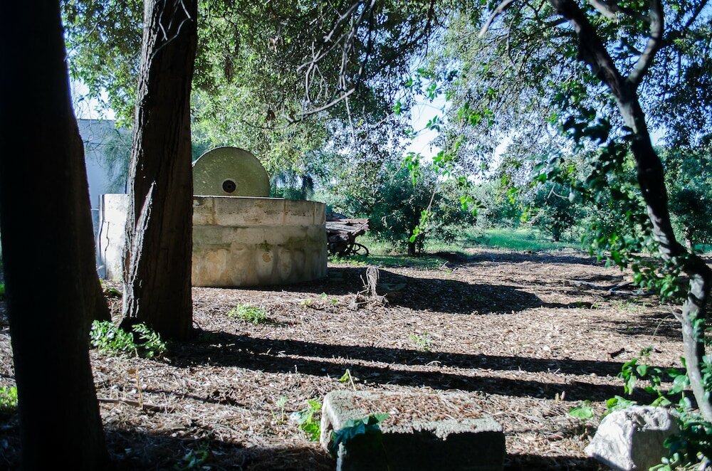 Фото Agriturismo Capani