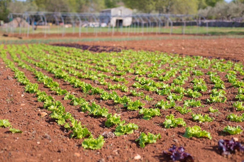 Фото Hotel Villa Margaret